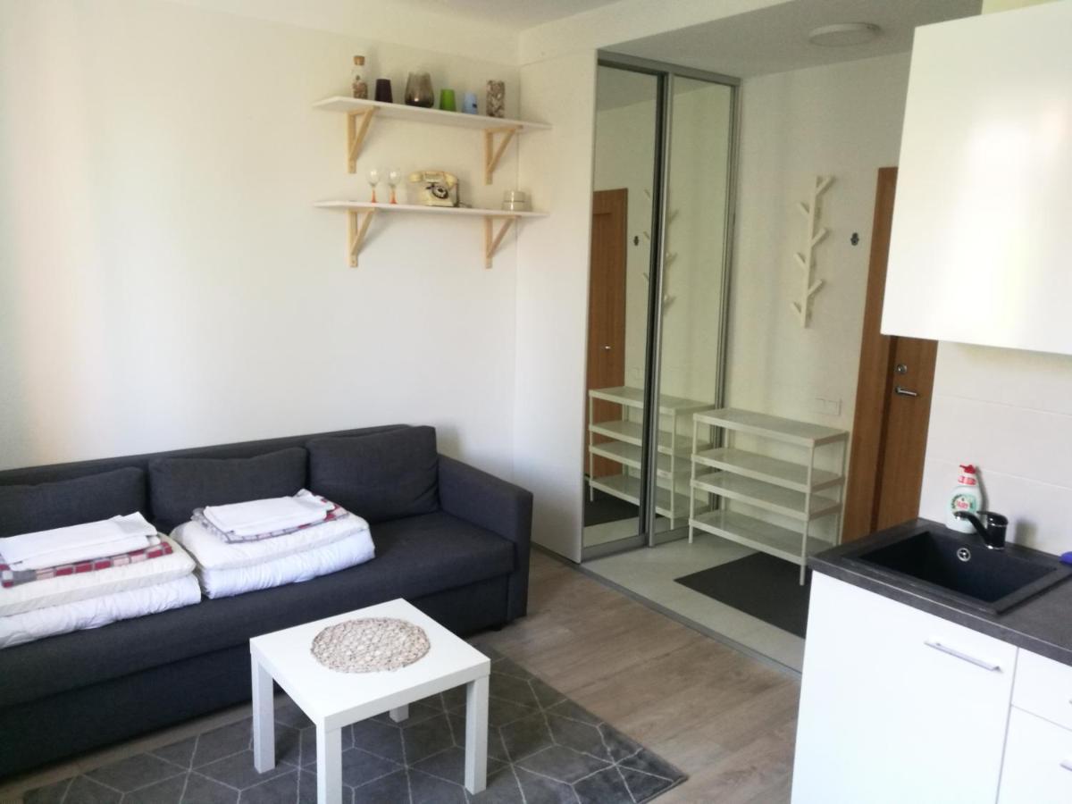 Vilnius Town Apartmen Buitenkant foto