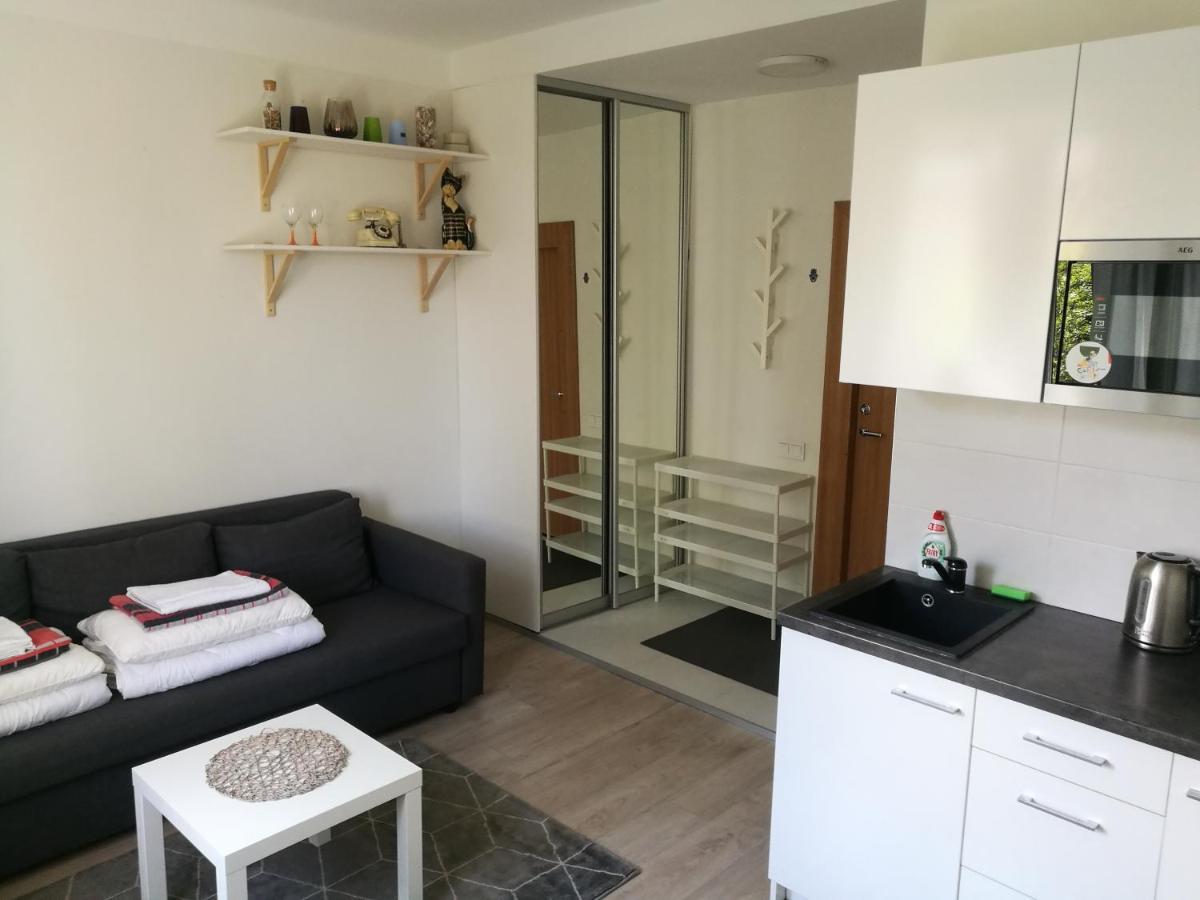 Vilnius Town Apartmen Buitenkant foto