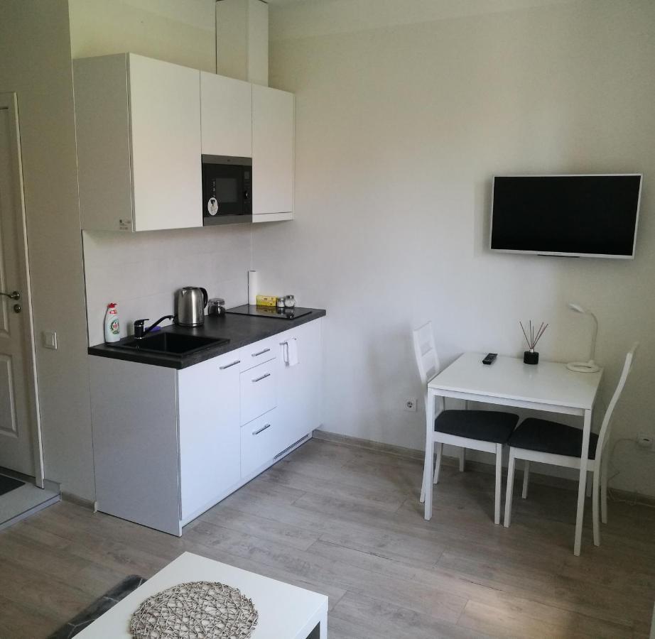 Vilnius Town Apartmen Buitenkant foto